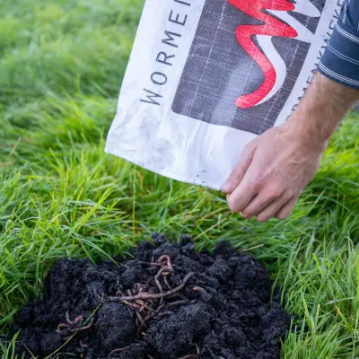 Wormenmix voor bodemverbetering - Afbeelding 1