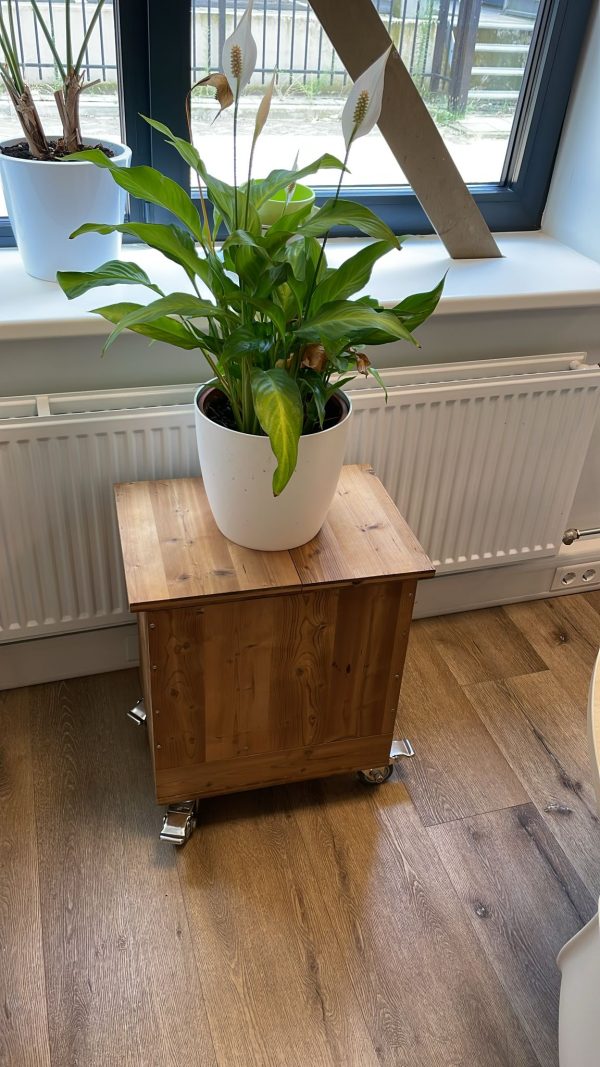 Wormenpaleis-compact-ophalen Amsterdam - Afbeelding 3