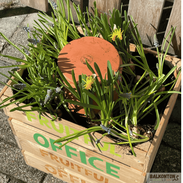 kratje met wormencompostbuis